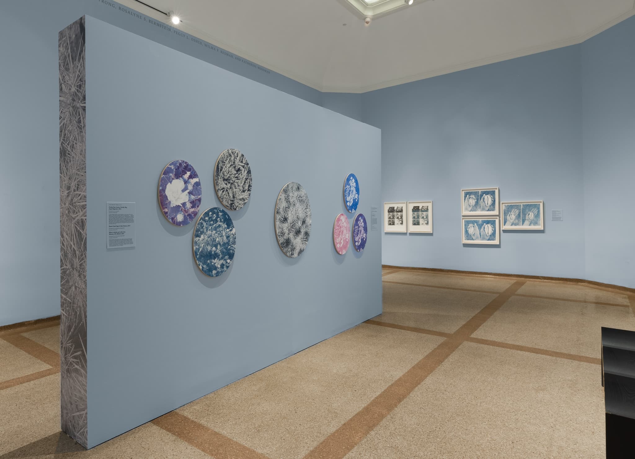 Jewel-toned screenprints are hung on a pale blue gallery wall.
