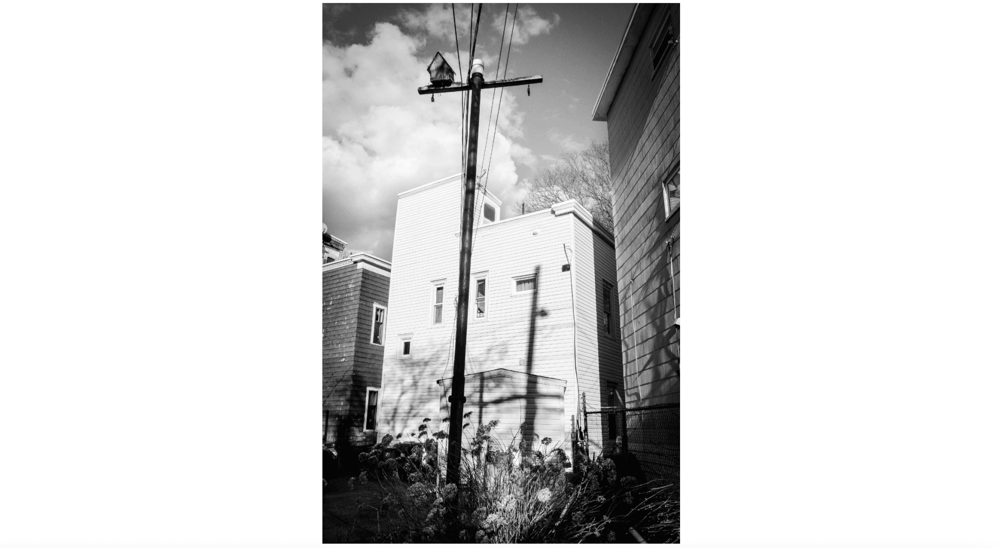 Image of "Bird House" by Kristen Emack